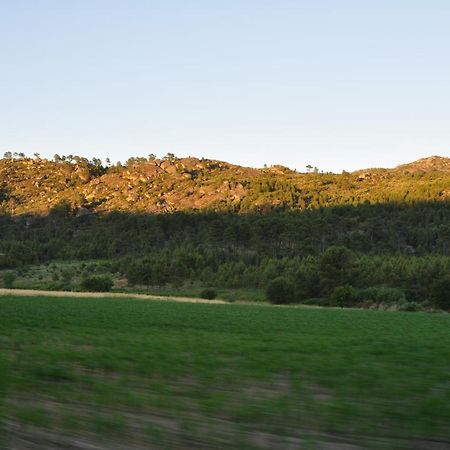 Pinheirinhos - Quinta De Sao Caetano Villa Carapito Buitenkant foto