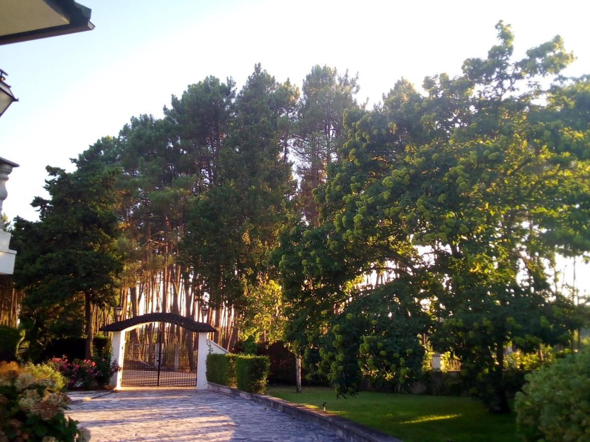 Pinheirinhos - Quinta De Sao Caetano Villa Carapito Buitenkant foto
