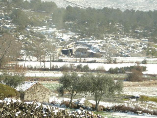 Pinheirinhos - Quinta De Sao Caetano Villa Carapito Buitenkant foto