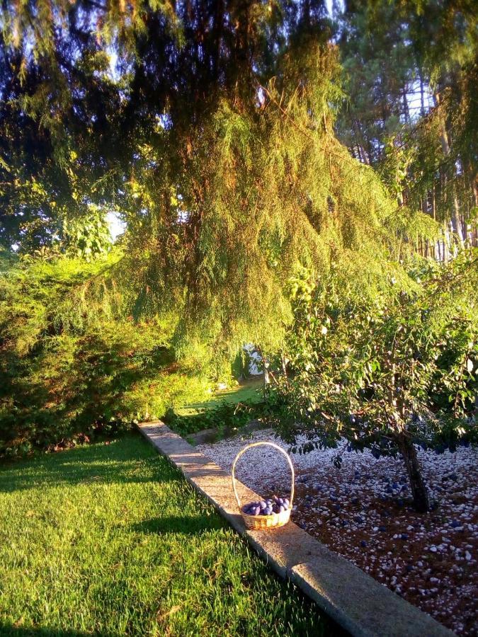 Pinheirinhos - Quinta De Sao Caetano Villa Carapito Buitenkant foto