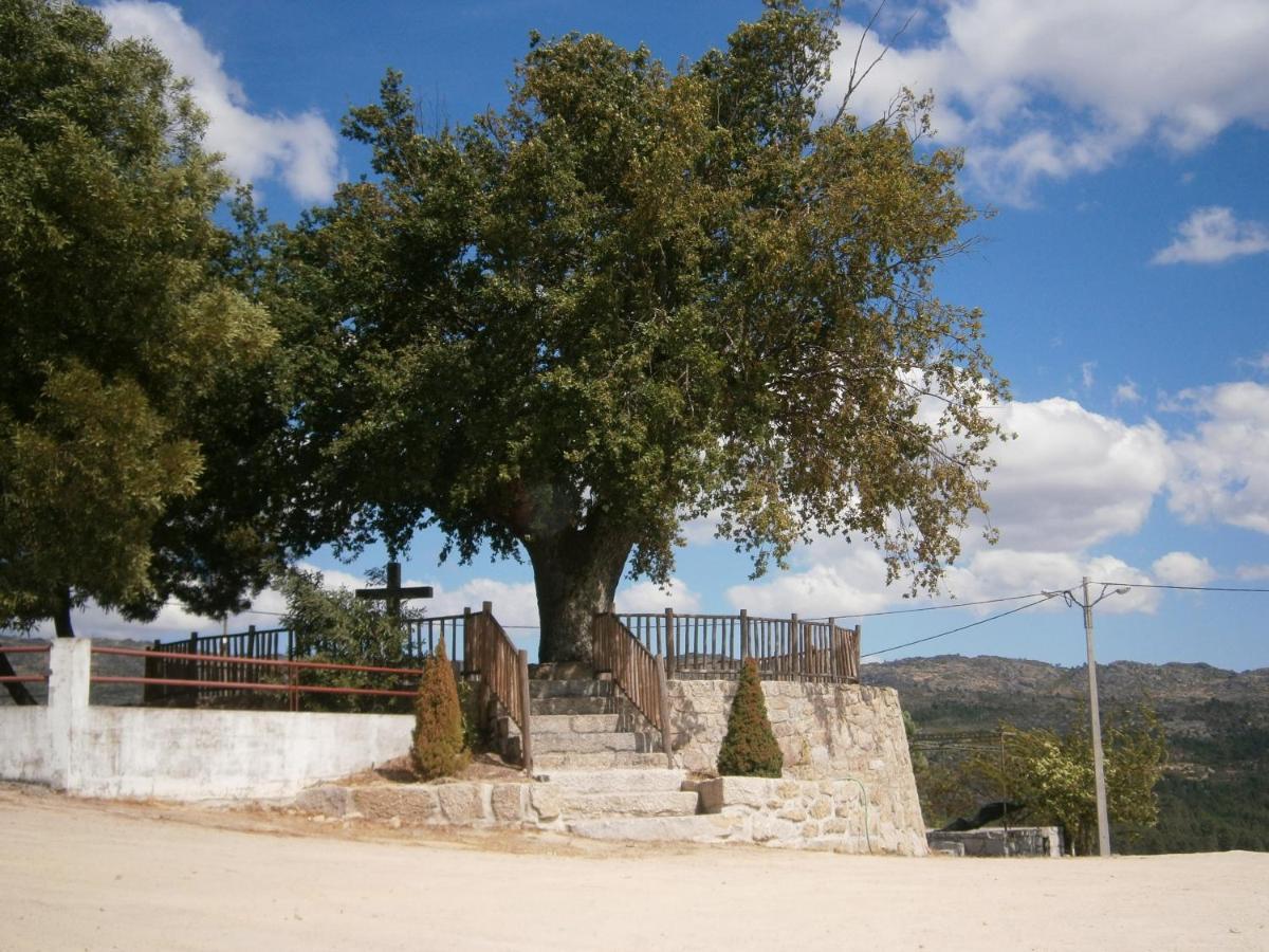 Pinheirinhos - Quinta De Sao Caetano Villa Carapito Buitenkant foto