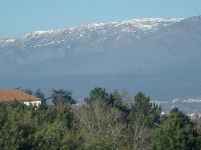 Pinheirinhos - Quinta De Sao Caetano Villa Carapito Buitenkant foto