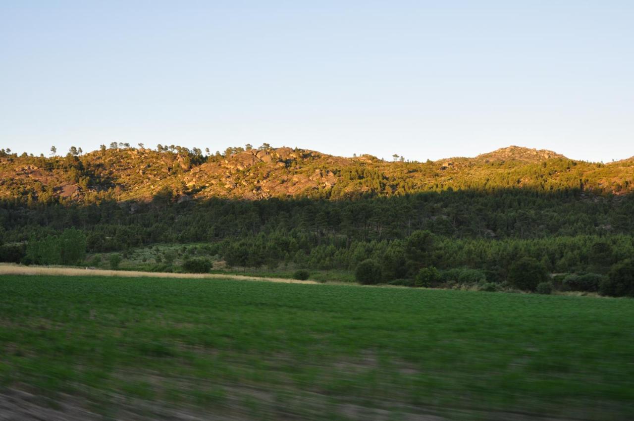 Pinheirinhos - Quinta De Sao Caetano Villa Carapito Buitenkant foto