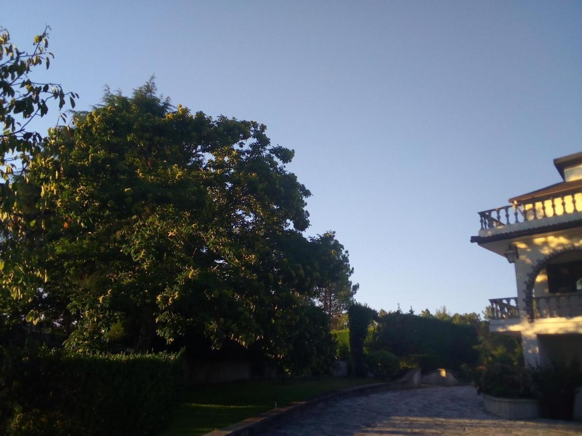 Pinheirinhos - Quinta De Sao Caetano Villa Carapito Buitenkant foto