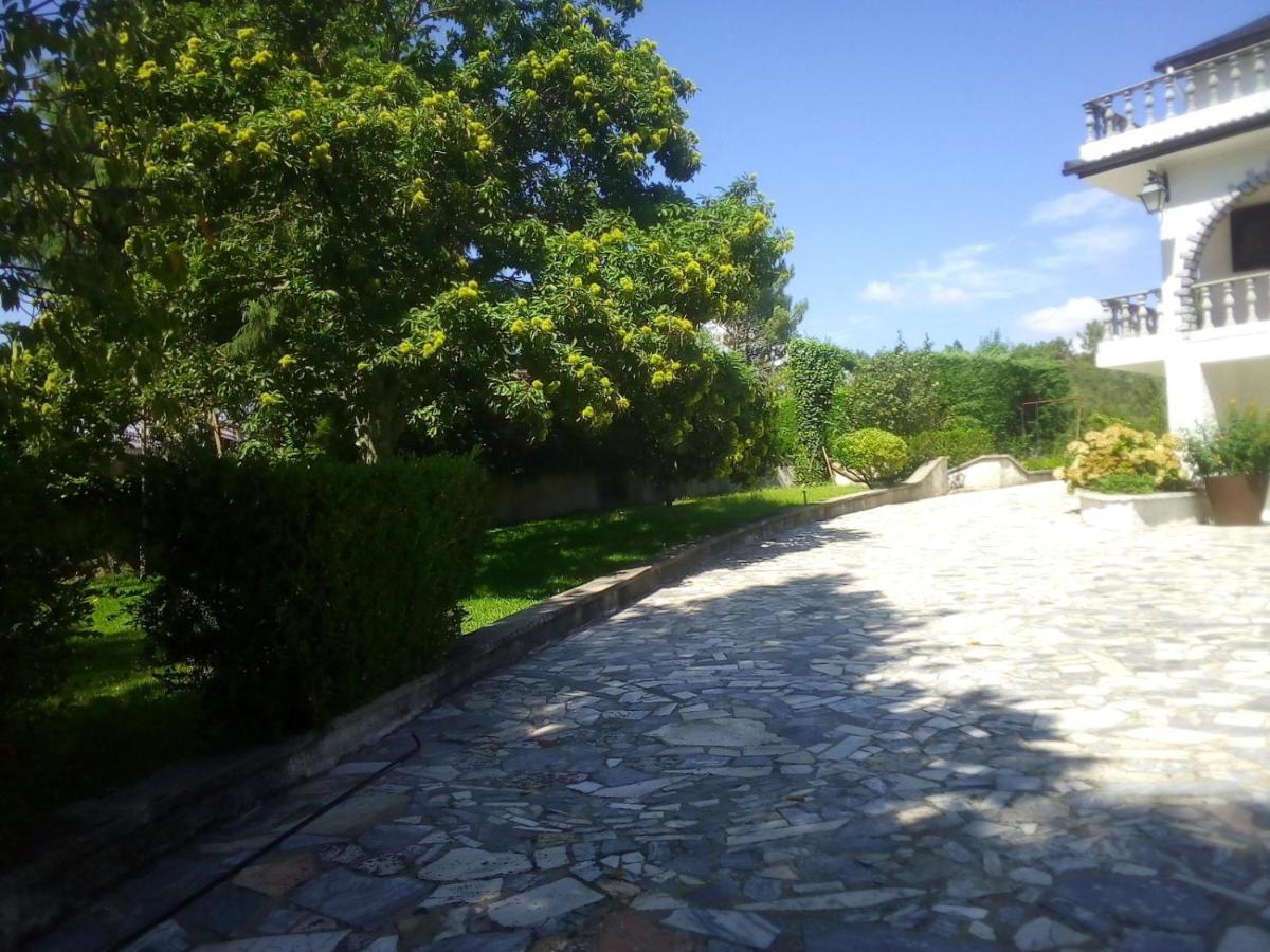 Pinheirinhos - Quinta De Sao Caetano Villa Carapito Buitenkant foto